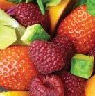 antioxidants for skin protection