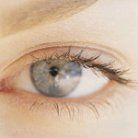 brow lift or blepharoplasty